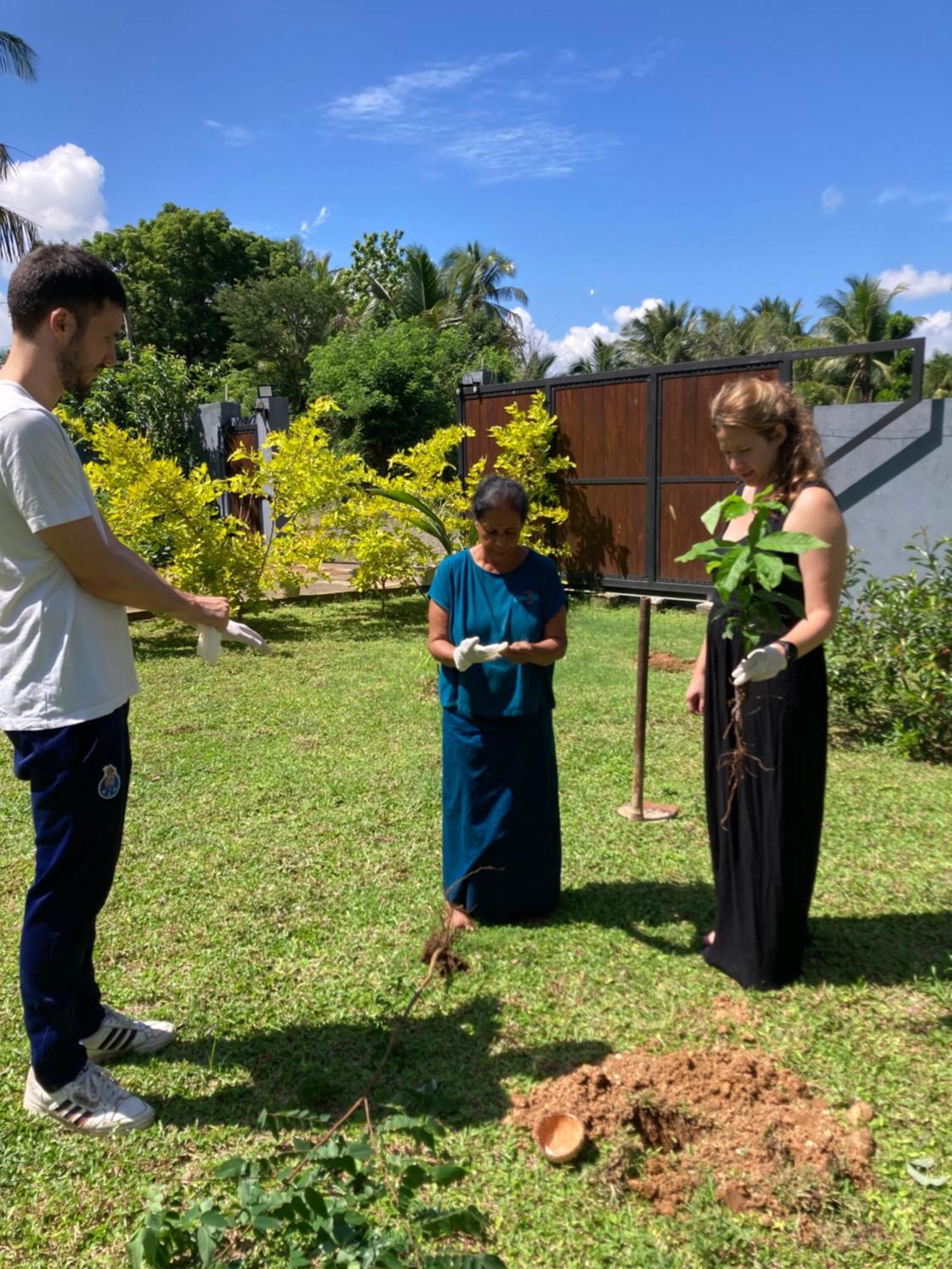 Amba Kola Udawalawa Udawalawe Exterior foto