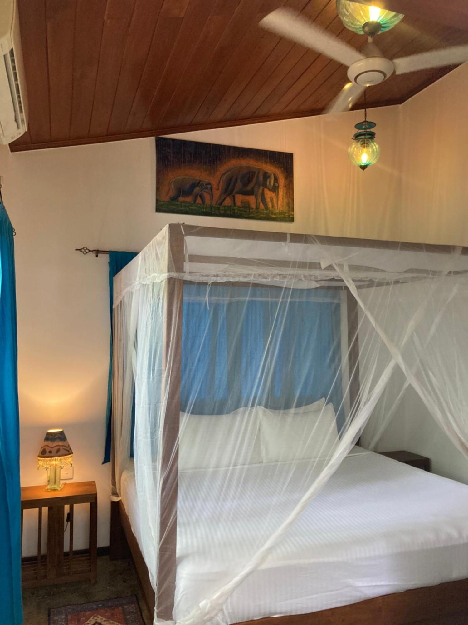 Amba Kola Udawalawa Udawalawe Exterior foto