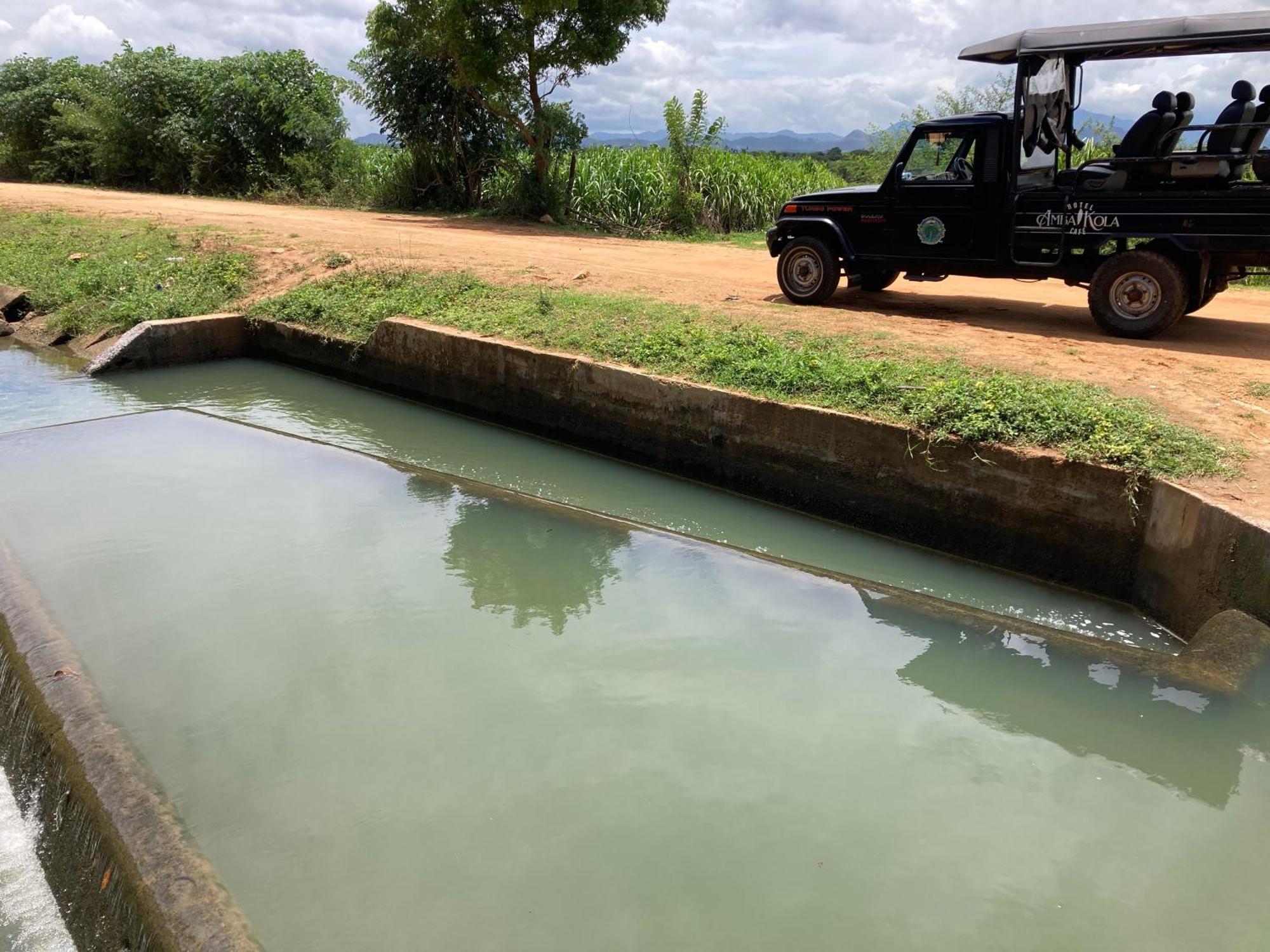 Amba Kola Udawalawa Udawalawe Exterior foto